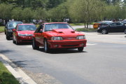 Red Mustang